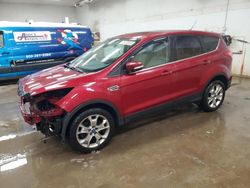 Salvage cars for sale at Davison, MI auction: 2013 Ford Escape SEL