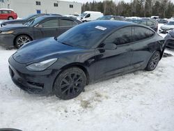 Salvage cars for sale at Cookstown, ON auction: 2023 Tesla Model 3