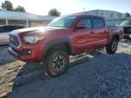 2019 Toyota Tacoma Double Cab