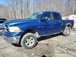 Salvage trucks for sale at East Granby, CT auction: 2009 Dodge RAM 1500