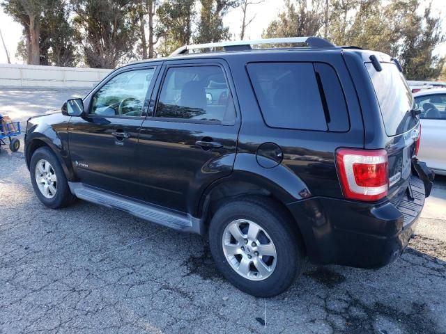 2009 Ford Escape Hybrid