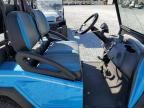 2022 Golf Cart Bintelli