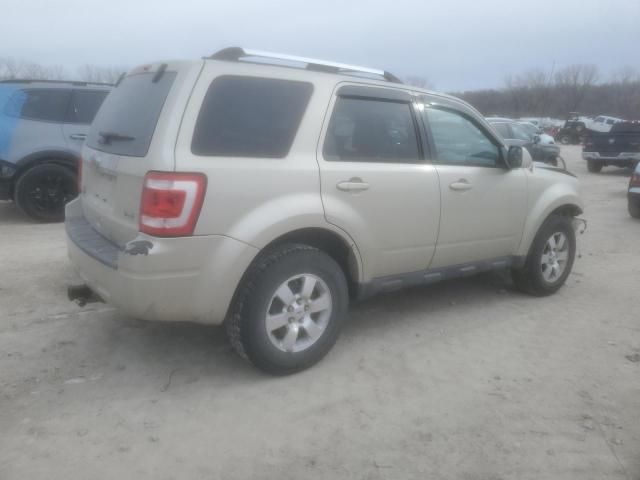 2010 Ford Escape Limited