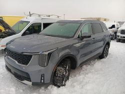 Salvage cars for sale at Anchorage, AK auction: 2024 KIA Sorento S