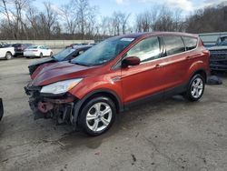 Salvage cars for sale at Ellwood City, PA auction: 2015 Ford Escape SE