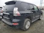 2019 Lexus GX 460