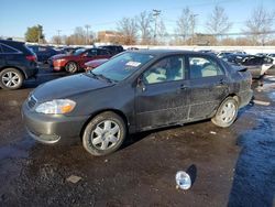 Salvage cars for sale at New Britain, CT auction: 2005 Toyota Corolla CE