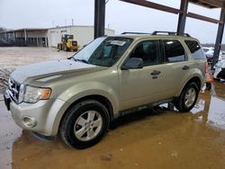 Salvage cars for sale at Tanner, AL auction: 2010 Ford Escape XLT