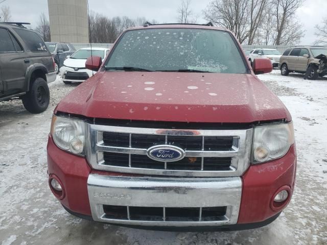 2011 Ford Escape Limited