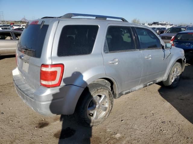 2010 Ford Escape Limited