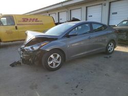 2014 Hyundai Elantra SE en venta en Louisville, KY