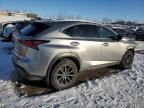 2020 Lexus NX 300 F Sport