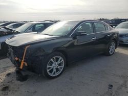 Salvage cars for sale at Fredericksburg, VA auction: 2012 Nissan Maxima S