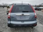 2007 Honda CR-V EXL