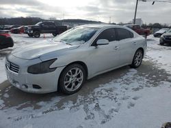 Nissan salvage cars for sale: 2014 Nissan Maxima S