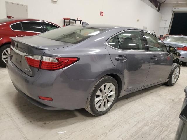 2015 Lexus ES 300H