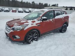 Salvage cars for sale at Windham, ME auction: 2019 Ford Escape SE