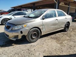 Salvage cars for sale at auction: 2009 Toyota Corolla Base