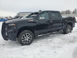 Salvage cars for sale at Wayland, MI auction: 2019 Chevrolet Silverado K1500 LT Trail Boss