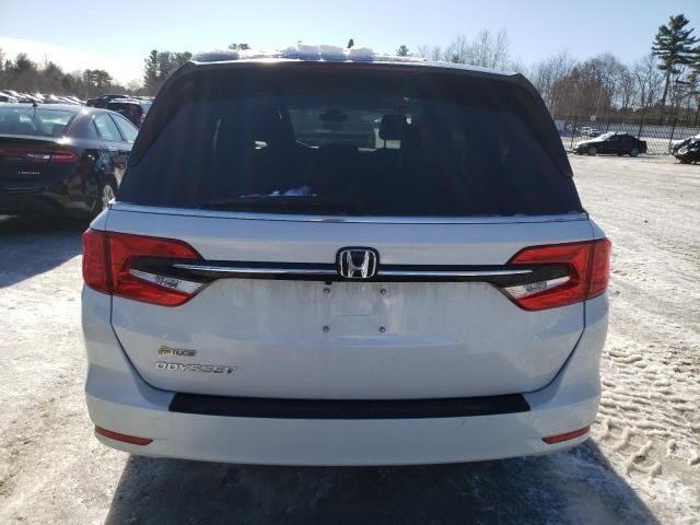 2024 Honda Odyssey EXL