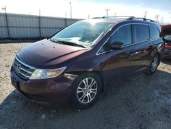 Honda Odyssey exl Vehiculos salvage en venta: 2011 Honda Odyssey EXL