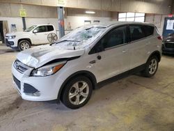 Salvage cars for sale at Indianapolis, IN auction: 2014 Ford Escape SE