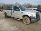 2010 Ford F150