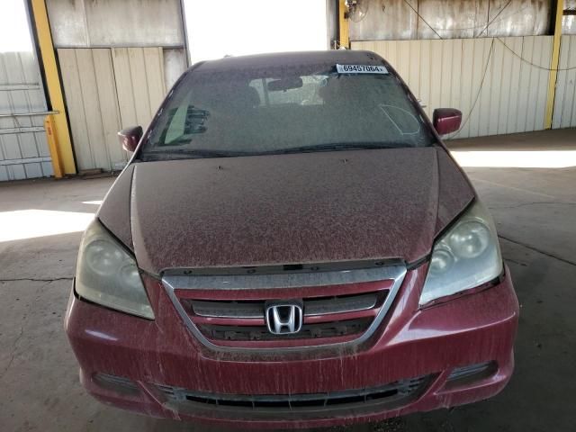 2005 Honda Odyssey EXL