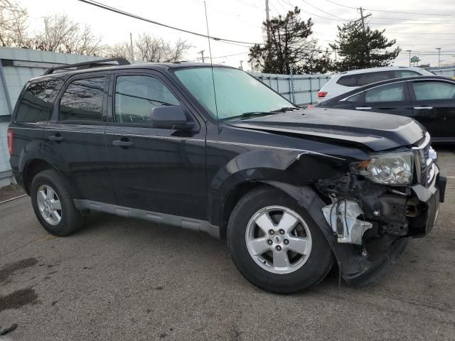 2009 Ford Escape XLT