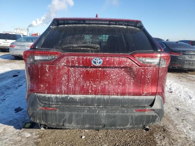 2021 Toyota Rav4 LE