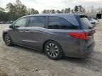 2024 Honda Odyssey EXL