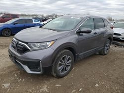 Salvage cars for sale at Kansas City, KS auction: 2021 Honda CR-V EX