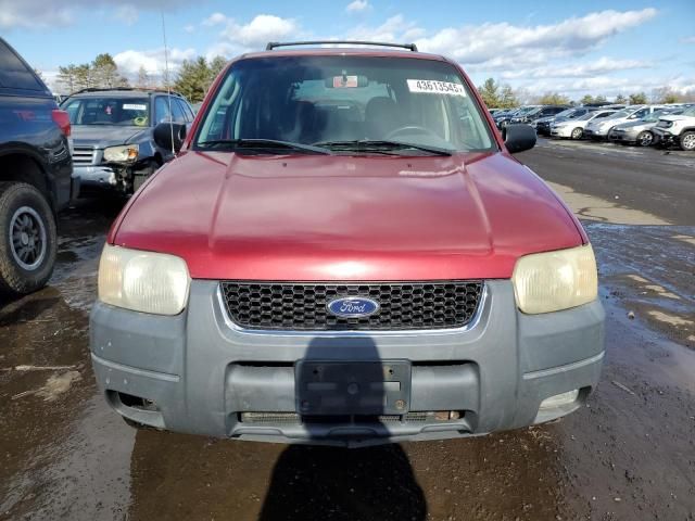 2004 Ford Escape XLT