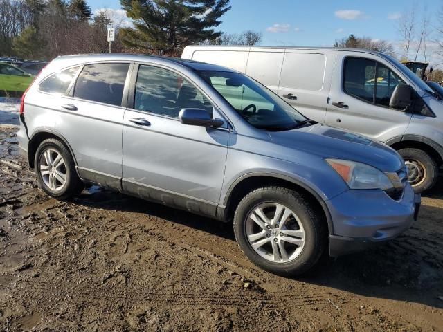 2010 Honda CR-V EXL