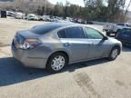 2010 Nissan Altima Base