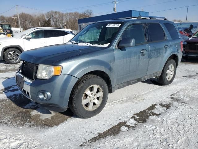 2010 Ford Escape Limited