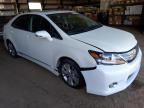 2010 Lexus HS 250H