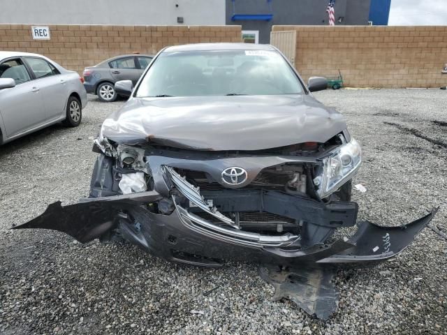 2007 Toyota Camry Hybrid