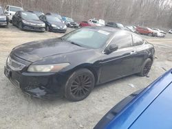 Honda salvage cars for sale: 2010 Honda Accord EXL