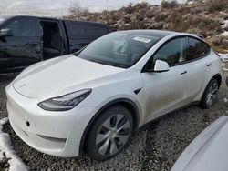 Salvage cars for sale at Reno, NV auction: 2021 Tesla Model Y