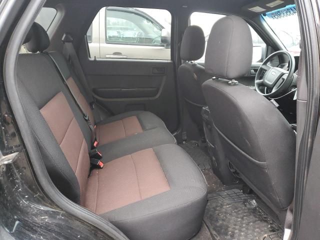 2008 Ford Escape XLT