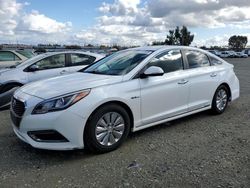 Salvage cars for sale at Antelope, CA auction: 2016 Hyundai Sonata Hybrid