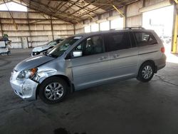 2010 Honda Odyssey EXL en venta en Phoenix, AZ