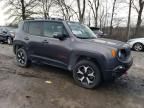 2019 Jeep Renegade Trailhawk