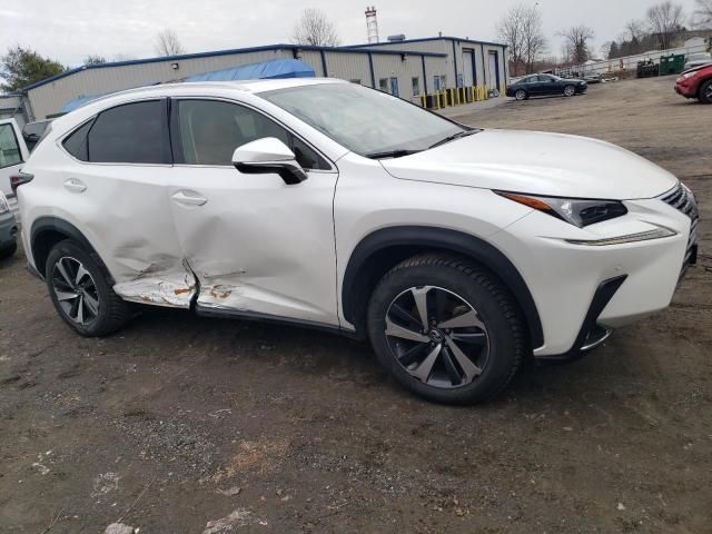 2020 Lexus NX 300H