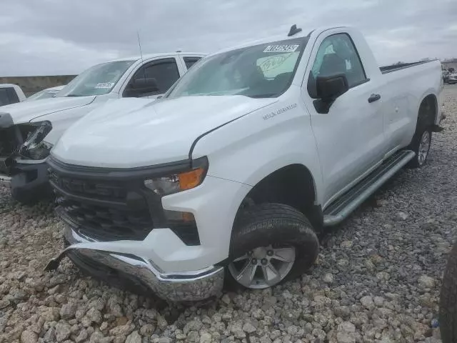 2024 Chevrolet Silverado C1500