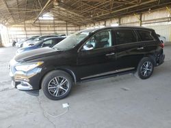 Salvage cars for sale at Phoenix, AZ auction: 2019 Infiniti QX60 Luxe