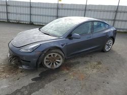 Salvage cars for sale at Antelope, CA auction: 2023 Tesla Model 3