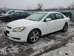 2009 Chevrolet Malibu 2LT en venta en Marlboro, NY