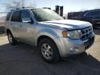 2010 Ford Escape Limited